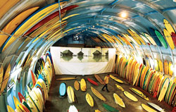 Surfboards-tn Surfboards-tn
